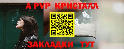 стаф Кингисепп