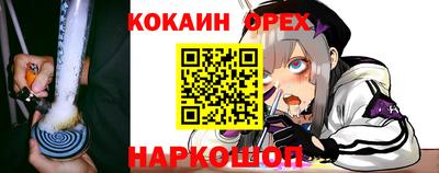 стаф Кингисепп