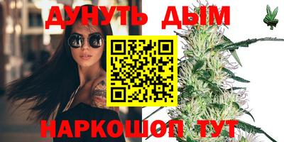 стаф Кингисепп