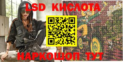 стаф Кингисепп