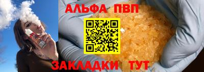 стаф Кингисепп
