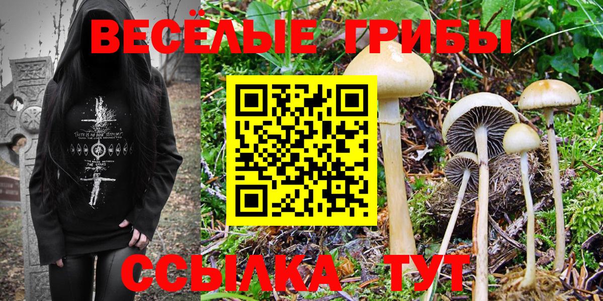 Аксай  Псилоцибиновые грибы прущие грибы  Вход с VPN 